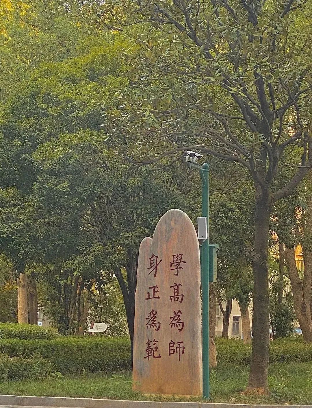 1680672761319144.jpg